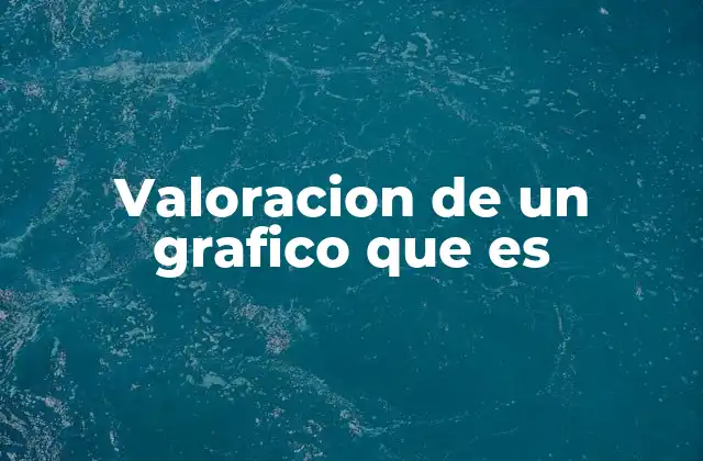 Valoracion de un Grafico que es