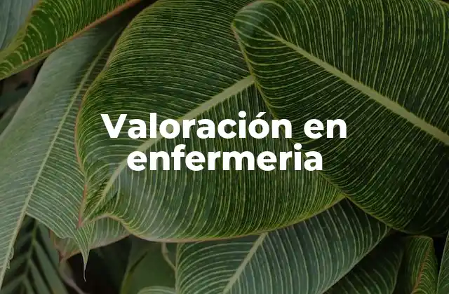 Valoración en Enfermeria