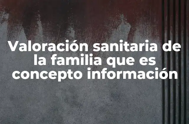 Valoración Sanitaria de la Familia que es Concepto Información