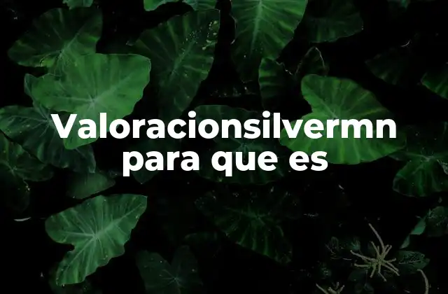 Valoracionsilvermn para que es