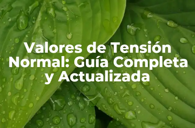 Valores de Tensión Normal: Guía Completa y Actualizada 2 ¿Qué son los Valores de Tensión Normal?