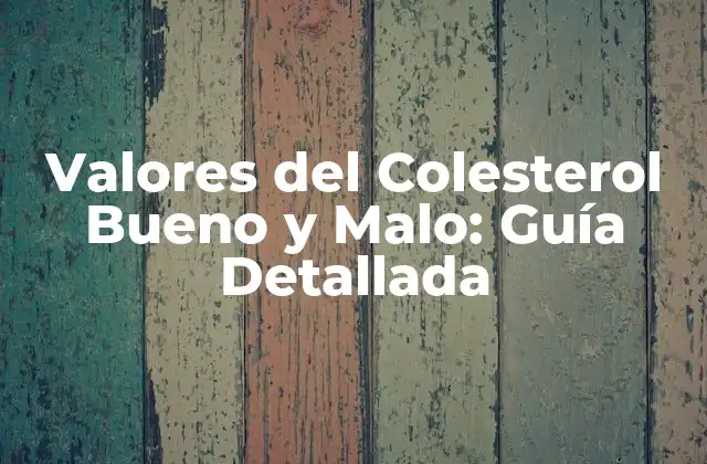 Valores Del Colesterol Bueno y Malo: Guía Detallada