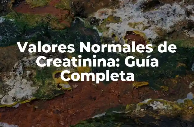 Valores Normales de Creatinina: Guía Completa