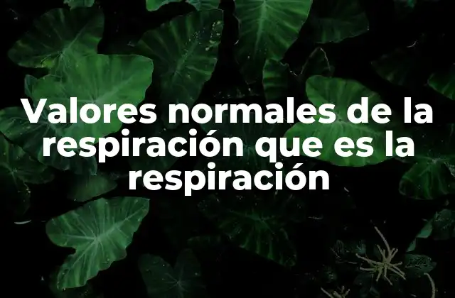 Valores Normales de la Respiración que es la Respiración