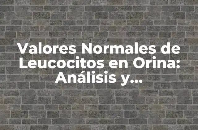 Valores Normales de Leucocitos en Orina: Análisis y Interpretación