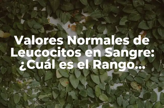 Valores Normales de Leucocitos en Sangre: ¿cuál es el Rango Normal?