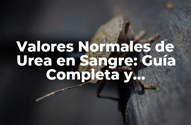 Valores Normales de Urea en Sangre: Guía Completa y Actualizada