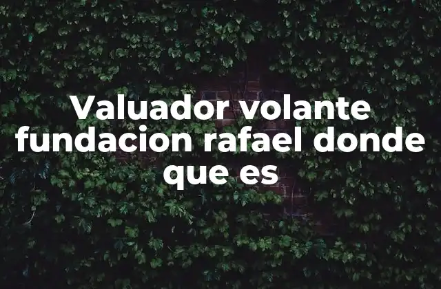 Valuador Volante Fundacion Rafael Donde que es