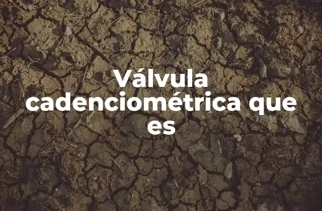 Válvula Cadenciométrica que es