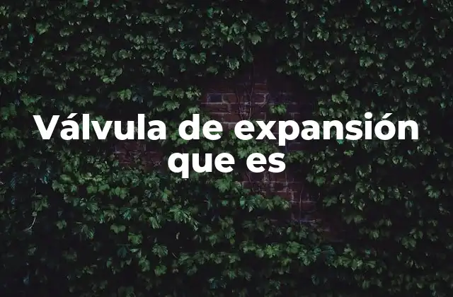 Válvula de Expansión que es