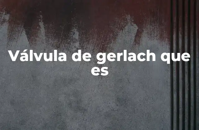 Válvula de Gerlach que es