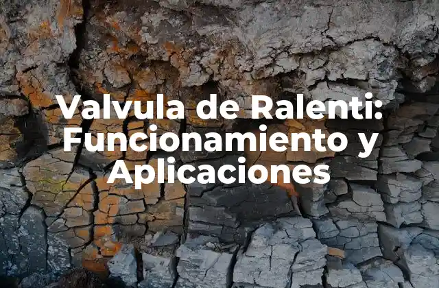 ¿Cómo Funciona la Valvula de Ralenti?