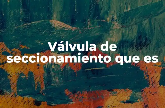 Válvula de Seccionamiento que es