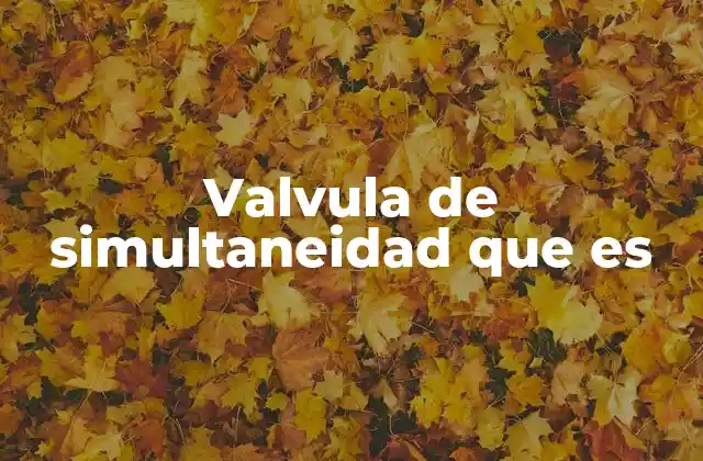 Valvula de Simultaneidad que es
