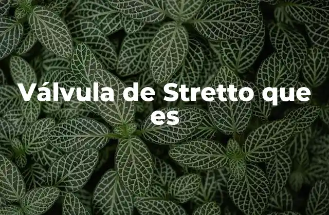 Válvula de Stretto que es