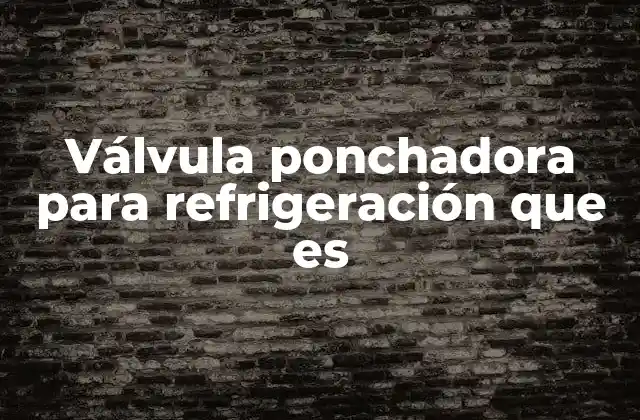 Válvula Ponchadora para Refrigeración que es