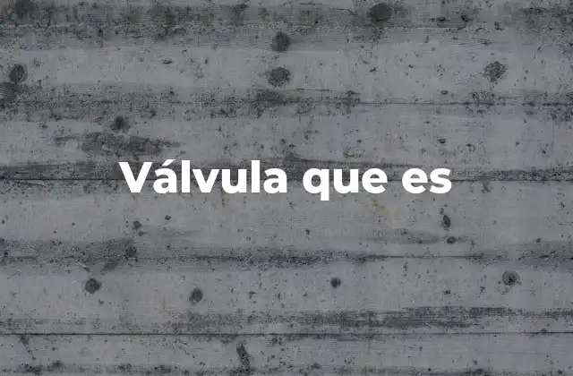 Válvula que es