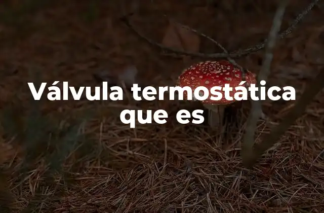 Cómo funciona el sistema de regulación de temperatura en los radiadores