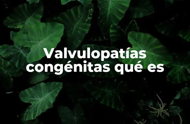 Valvulopatías Congénitas Qué es