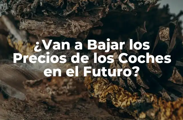 ¿van a Bajar los Precios de los Coches en el Futuro?