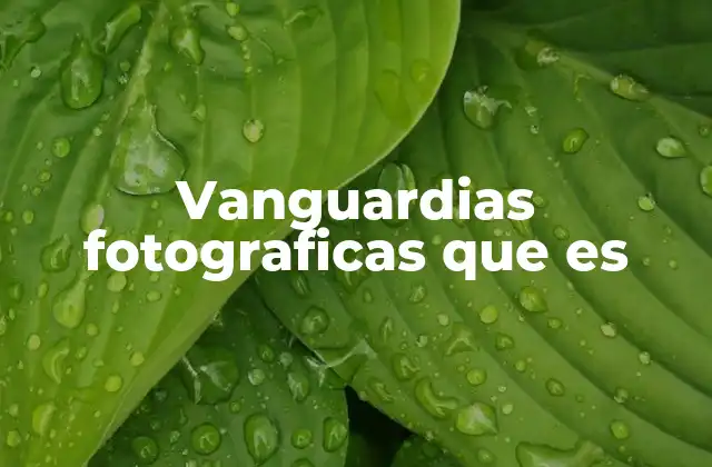 Vanguardias Fotograficas que es