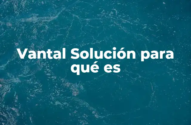 Vantal Solución para Qué es
