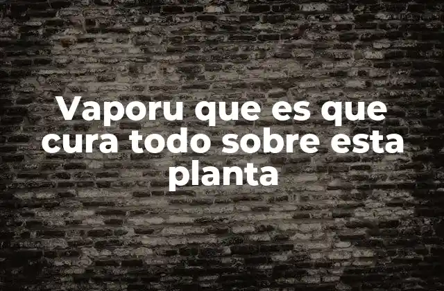 Vaporu que es que Cura Todo sobre Esta Planta