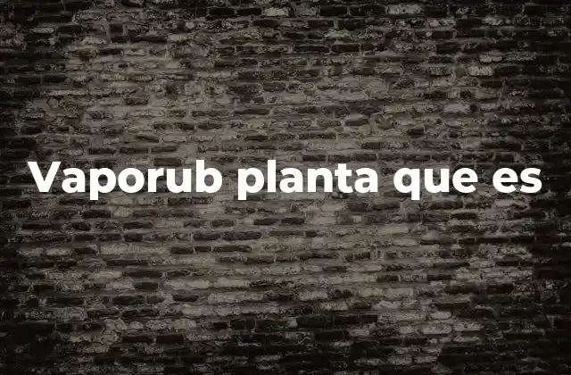Vaporub Planta que es 2 Orígenes y evolución del bálsamo Vaporub