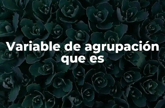 La importancia de clasificar los datos para su análisis