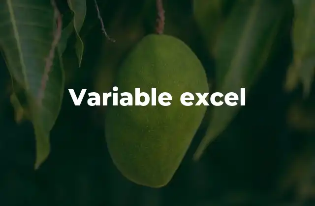 Variable Excel