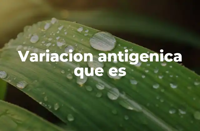 Variacion Antigenica que es