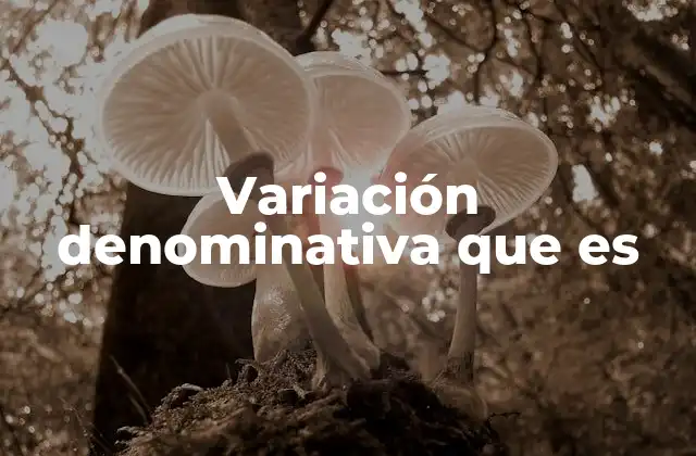 Variación Denominativa que es