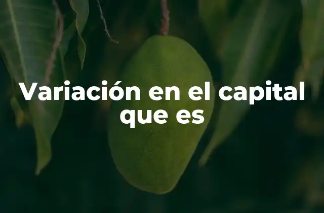 Cómo se refleja la variación en el capital en la contabilidad