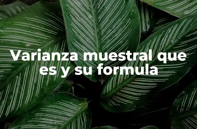Varianza Muestral que es y Su Formula 2 Importancia de la varianza en el análisis de datos estadísticos