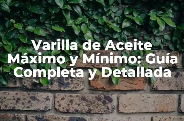 Varilla de Aceite Máximo y Mínimo: Guía Completa y Detallada