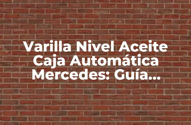 Varilla Nivel Aceite Caja Automática Mercedes: Guía Completa