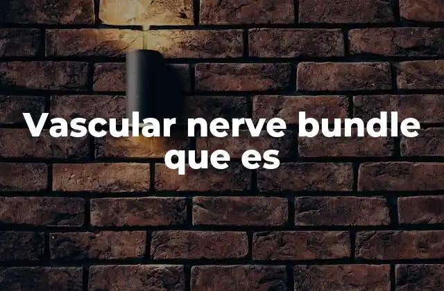 Vascular Nerve Bundle que es