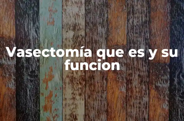 Vasectomía que es y Su Funcion