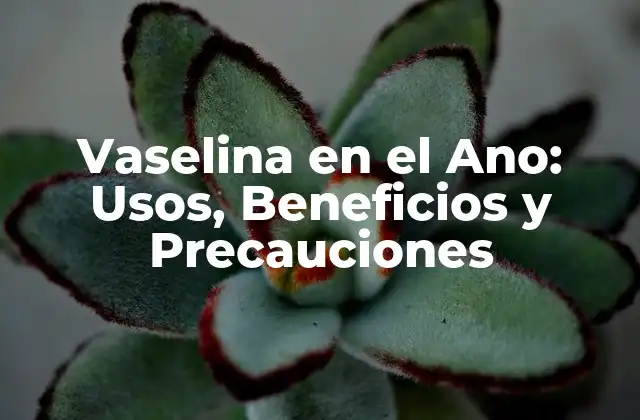 Vaselina en el Ano: Usos, Beneficios y Precauciones