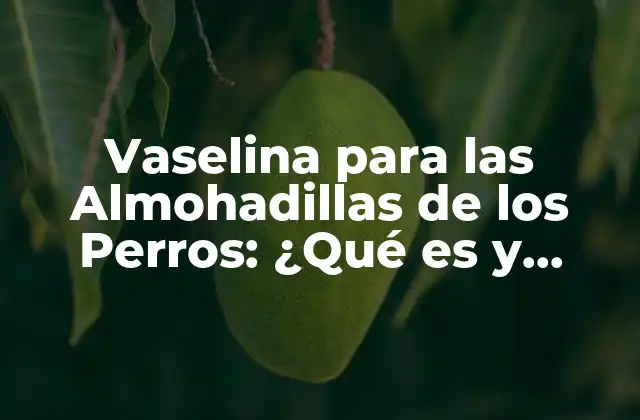 Vaselina para las Almohadillas de los Perros: ¿qué es y Cómo Ayuda?