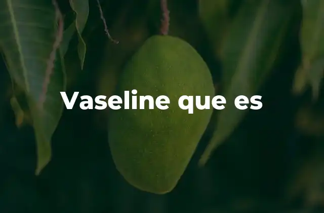 Vaseline que es
