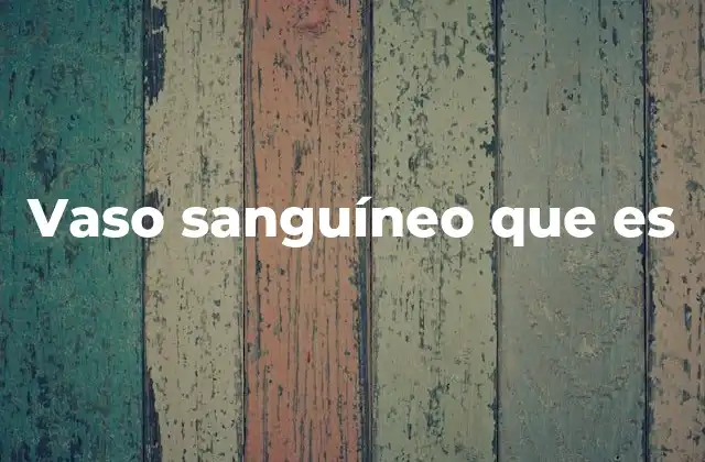 Vaso Sanguíneo que es 2 Estructura y función de los conductos que transportan la sangre