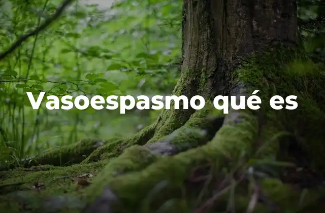 Vasoespasmo Qué es