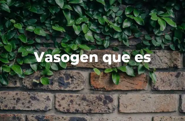 Vasogen que es