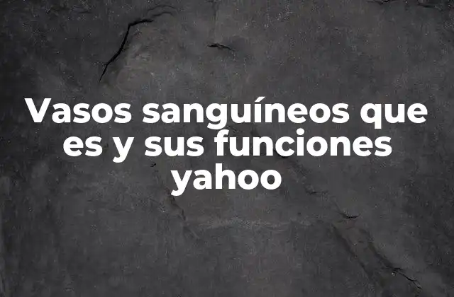 Vasos Sanguíneos que es y Sus Funciones Yahoo