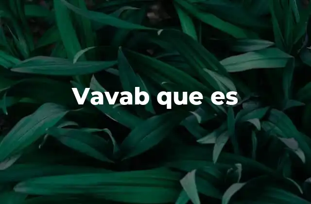 Vavab que es