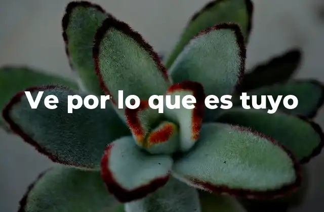 Ve por Lo que es Tuyo