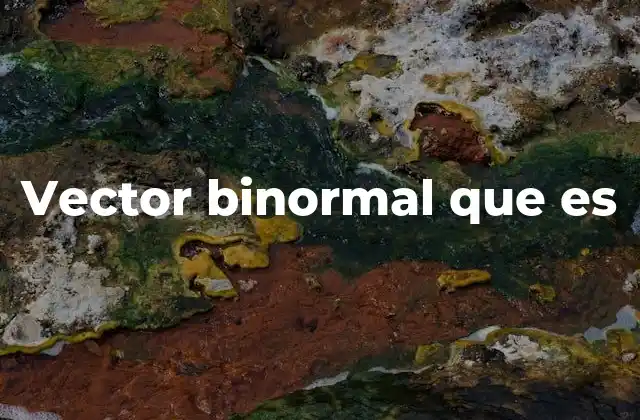 Vector Binormal que es