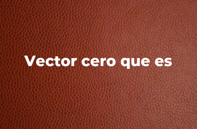 Vector Cero que es