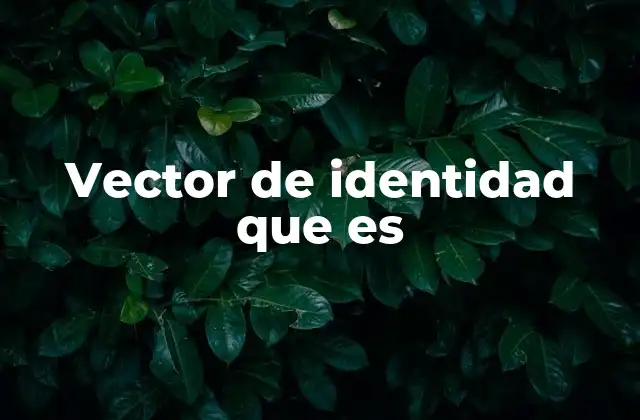 Vector de Identidad que es 2 Cómo los vectores representan la información
